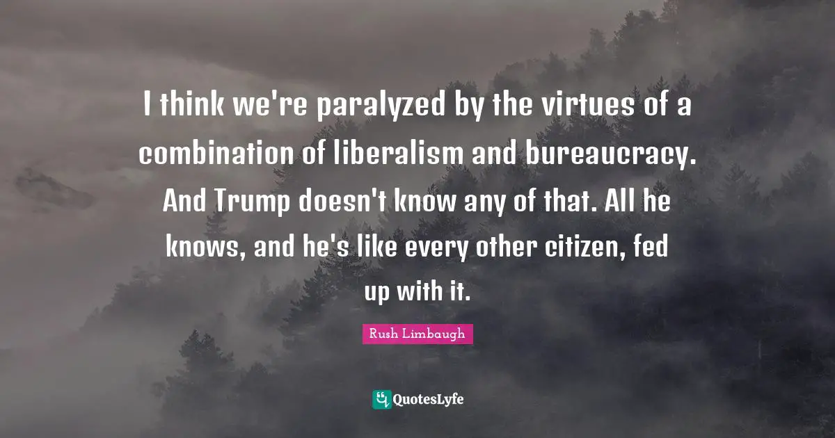 I think we're paralyzed by the virtues of a combination of liberalism and bureaucracy. And Trump doesn't know any of that. All he knows, and he's like every other citizen, fed up with it.