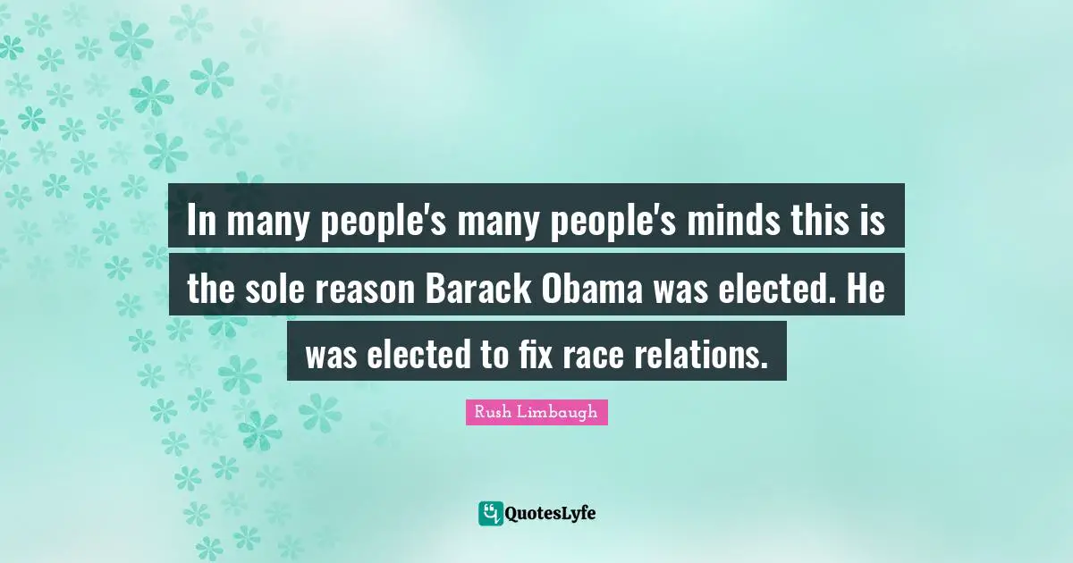 In many people's many people's minds this is the sole reason Barack Obama was elected. He was elected to fix race relations.