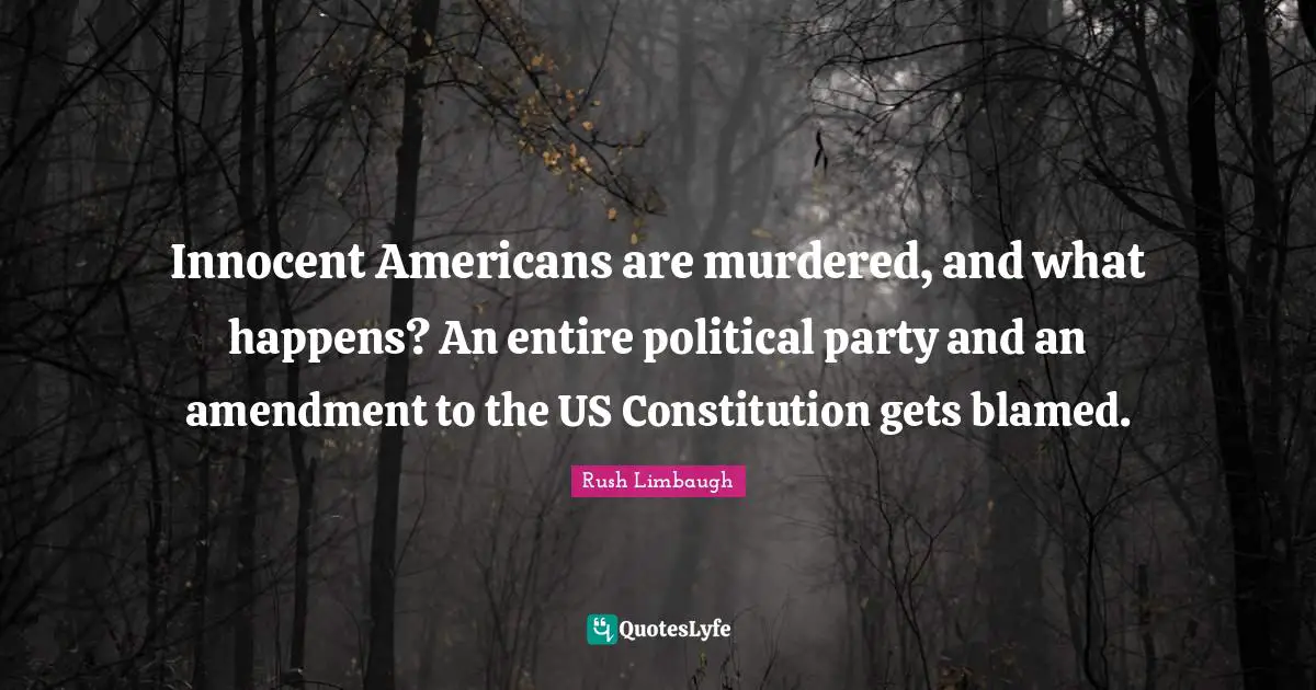 Innocent Americans are murdered, and what happens? An entire political party and an amendment to the US Constitution gets blamed.