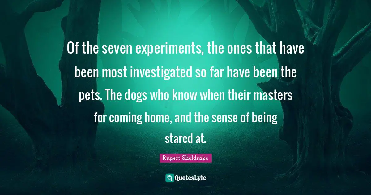 Of the seven experiments, the ones that have been most investigated so far have been the pets. The dogs who know when their masters for coming home, and the sense of being stared at.