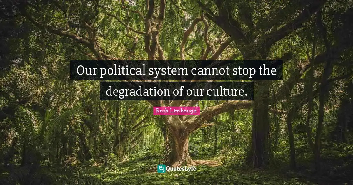 Our political system cannot stop the degradation of our culture.