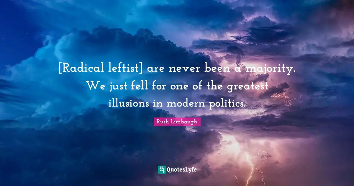 [Radical leftist] are never been a majority. We just fell for one of the greatest illusions in modern politics.