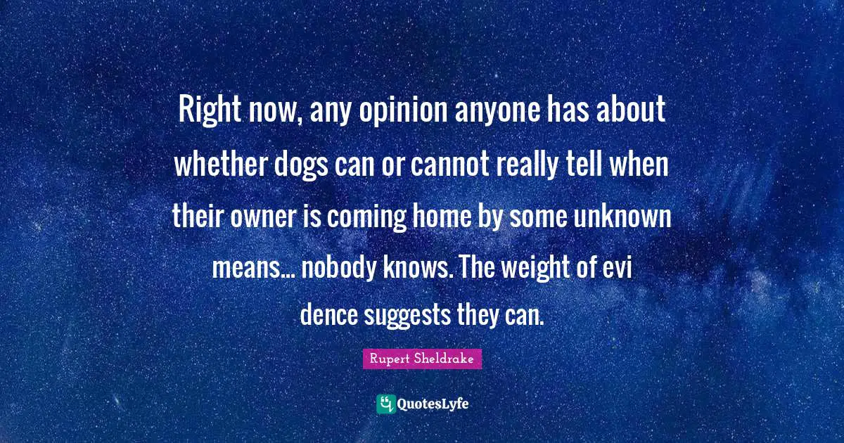 Right now, any opinion anyone has about whether dogs can or cannot really tell when their owner is coming home by some unknown means... nobody knows. The weight of evi dence suggests they can.