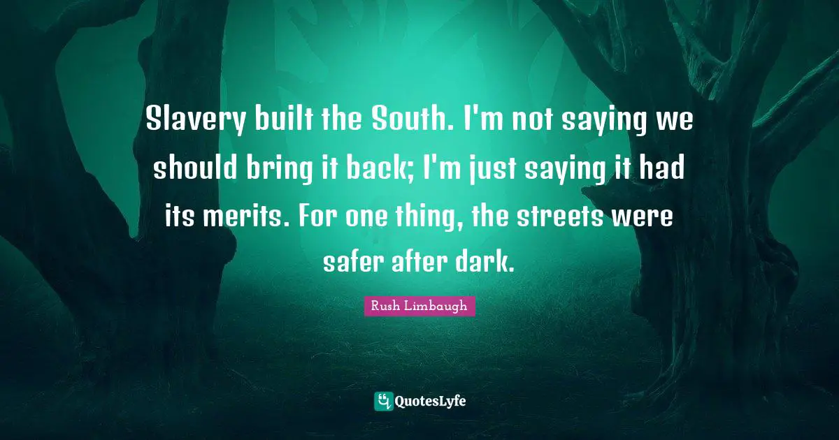 Slavery built the South. I'm not saying we should bring it back; I'm just saying it had its merits. For one thing, the streets were safer after dark.