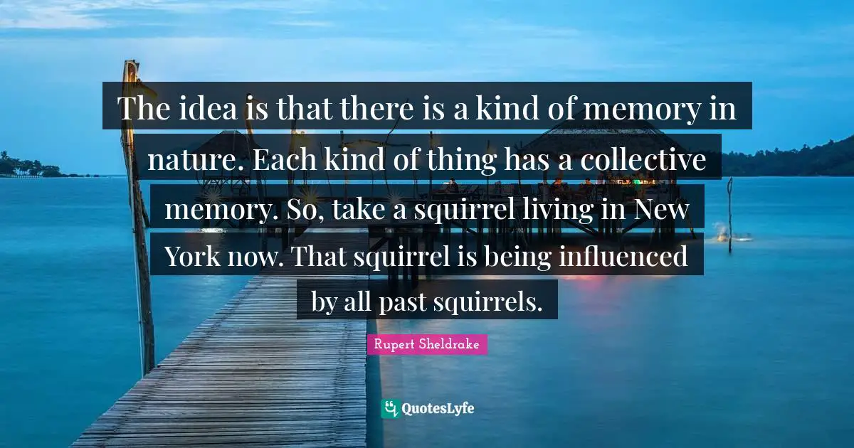 New York Quotes: "The idea is that there is a kind of memory in nature. Each kind of thing has a collective memory. So, take a squirrel living in New York now. That squirrel is being influenced by all past squirrels."