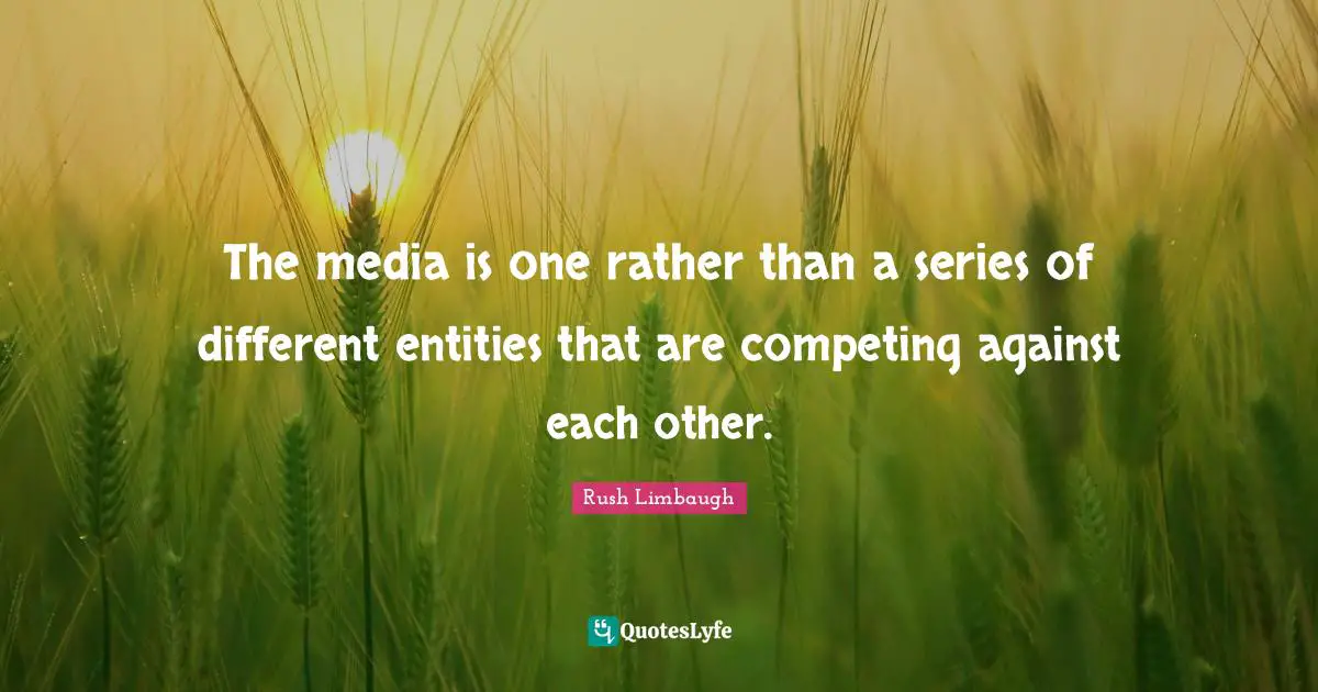 The media is one rather than a series of different entities that are competing against each other.