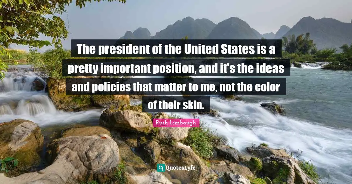 The president of the United States is a pretty important position, and it's the ideas and policies that matter to me, not the color of their skin.