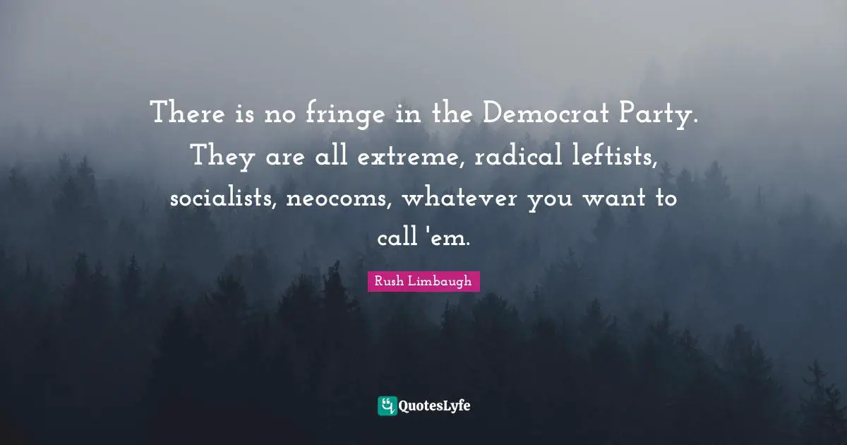 There is no fringe in the Democrat Party. They are all extreme, radical leftists, socialists, neocoms, whatever you want to call 'em.