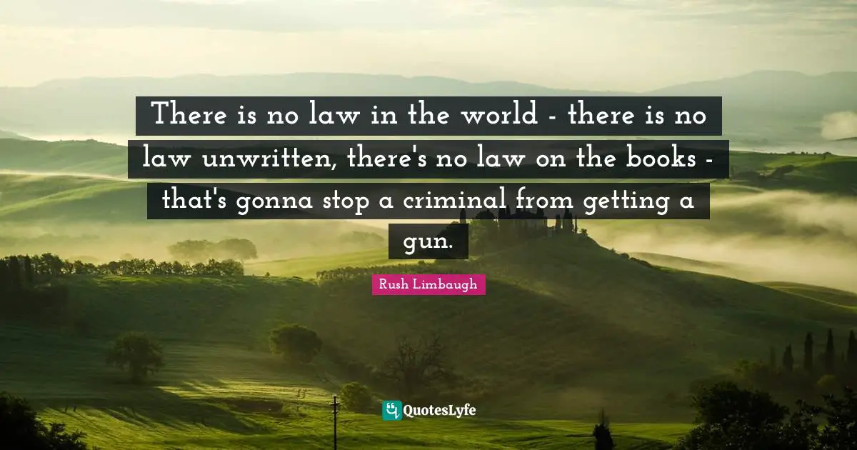 Unwritten Quotes: "There is no law in the world - there is no law unwritten, there's no law on the books - that's gonna stop a criminal from getting a gun."