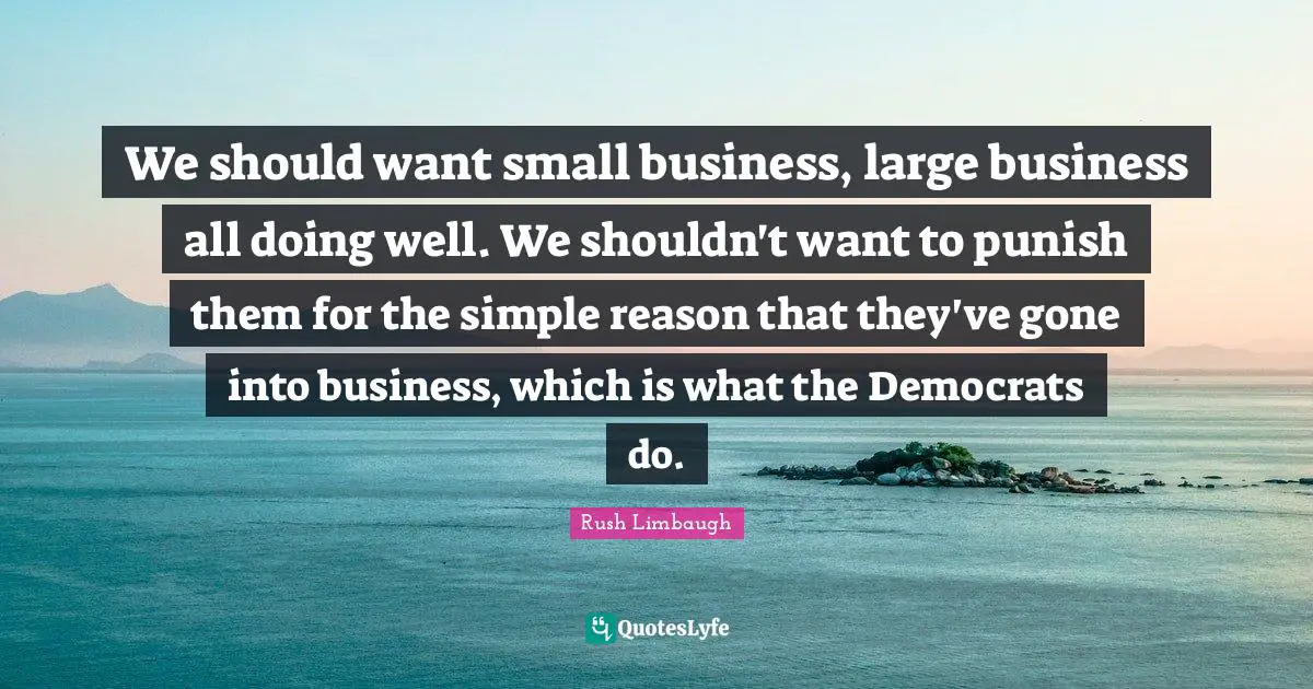 We should want small business, large business all doing well. We shouldn't want to punish them for the simple reason that they've gone into business, which is what the Democrats do.