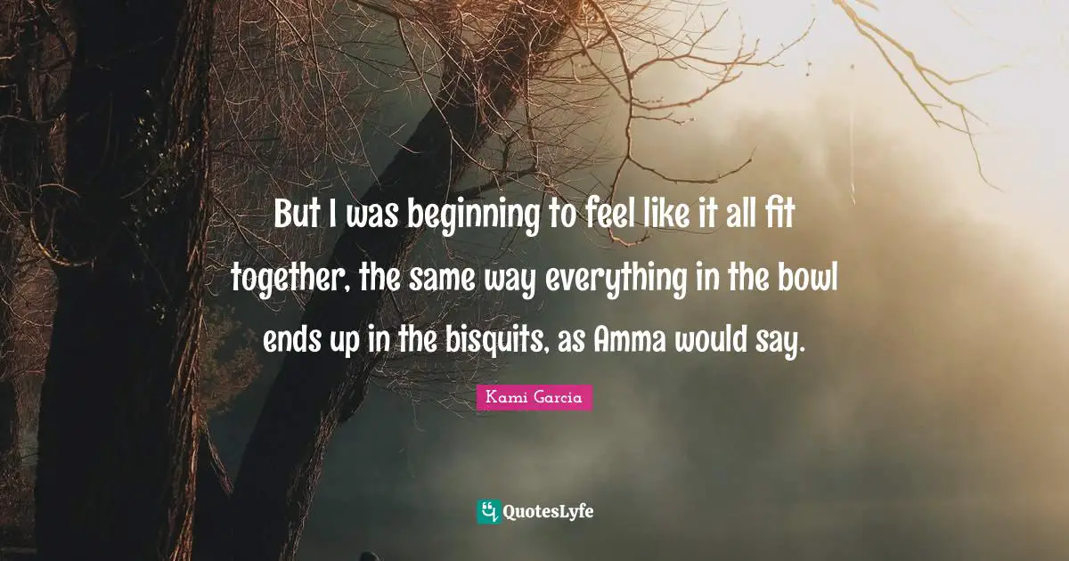 But I was beginning to feel like it all fit together, the same way everything in the bowl ends up in the bisquits, as Amma would say.