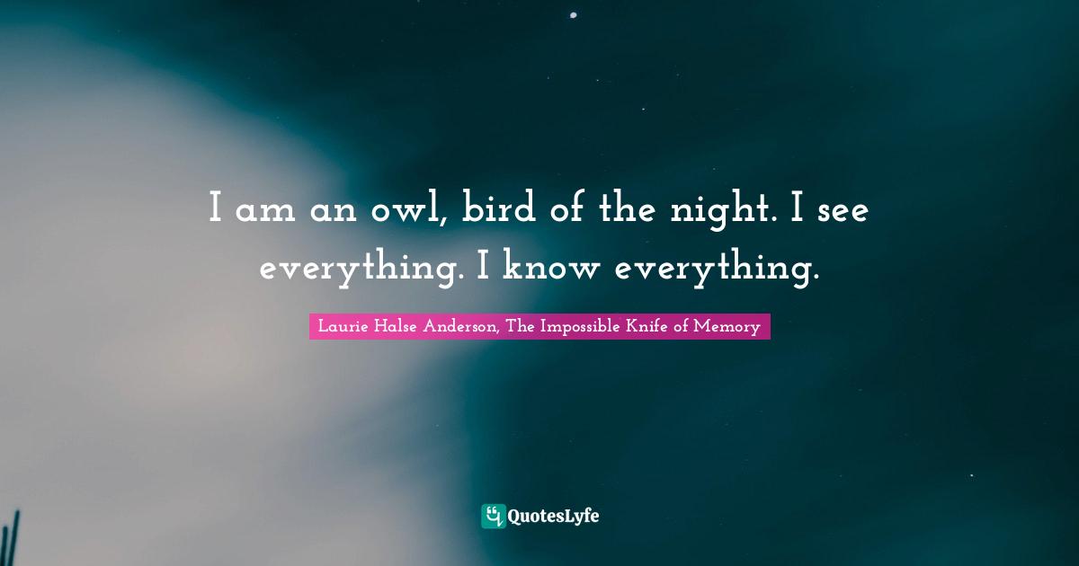 I am an owl, bird of the night. I see everything. I know everything.