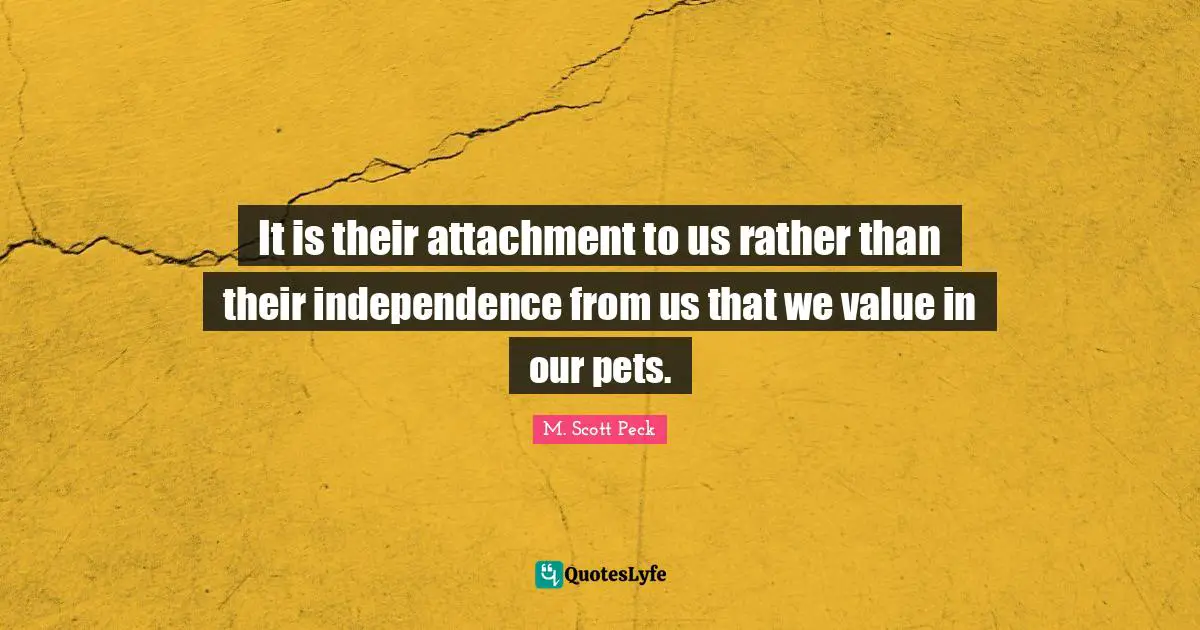 Traditional Values Quotes: "It is their attachment to us rather than their independence from us that we value in our pets."