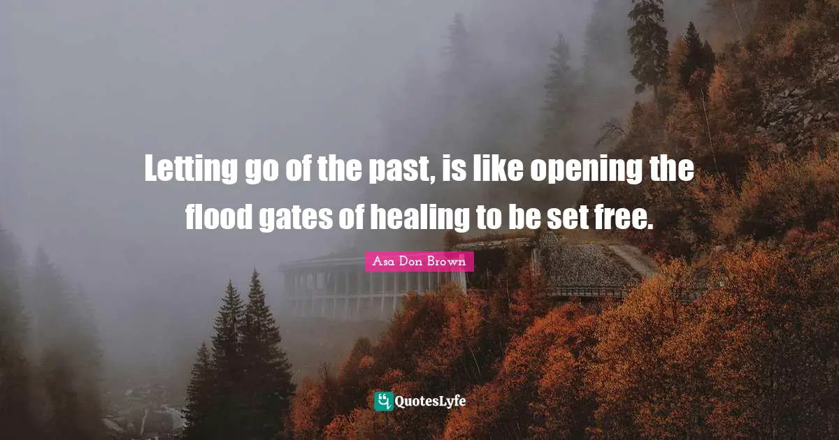 Letting go of the past, is like opening the flood gates of healing to be set free.