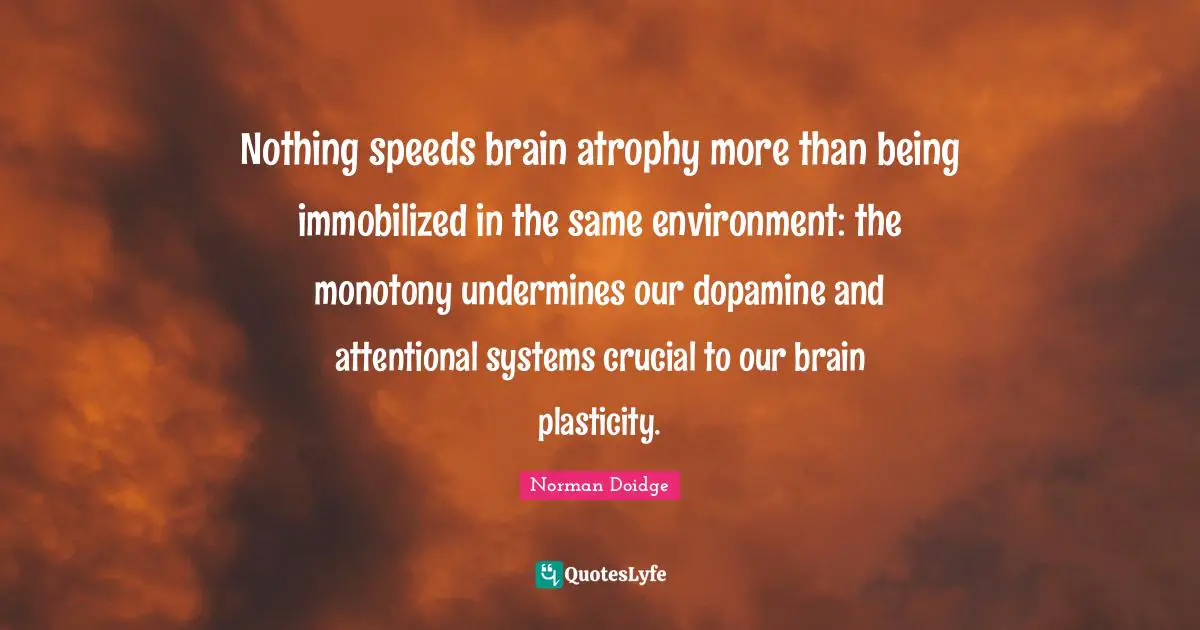 Nothing speeds brain atrophy more than being immobilized in the same environment: the monotony undermines our dopamine and attentional systems crucial to our brain plasticity.
