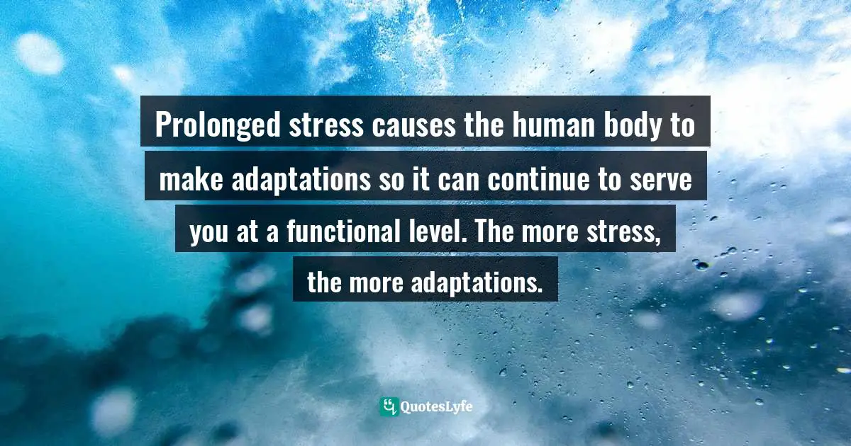 Janet Gallagher Nestor, Nurturing Wellness Through Radical Self-Care: A Living In Balance Guide And Workbook Quotes: "Prolonged stress causes the human body to make adaptations so it can continue to serve you at a functional level. The more stress, the more adaptations."
