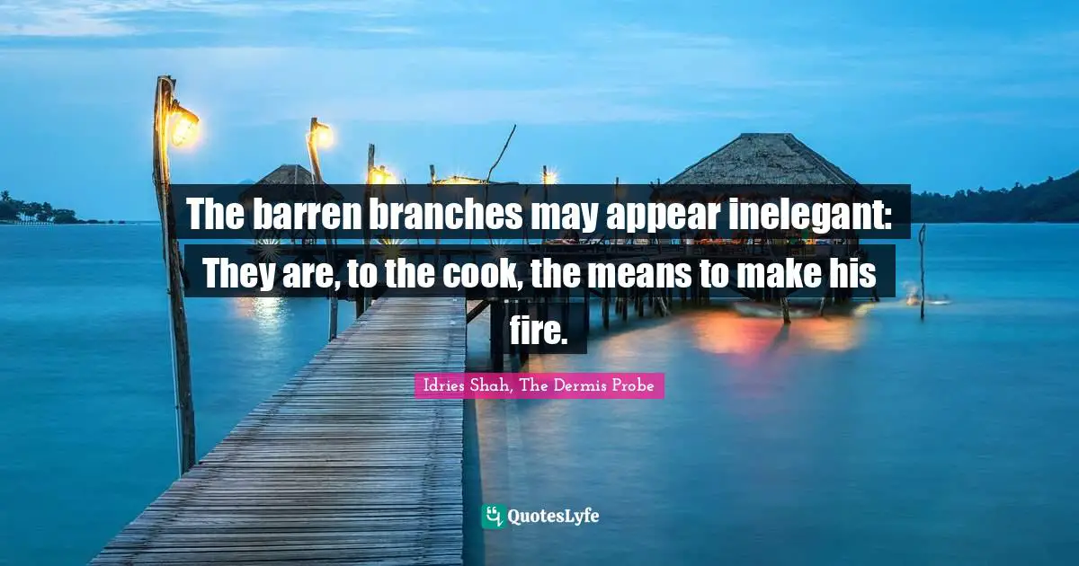 The barren branches may appear inelegant: They are, to the cook, the means to make his fire.