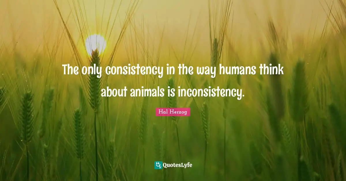 The only consistency in the way humans think about animals is inconsistency.