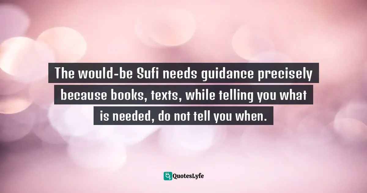 The would-be Sufi needs guidance precisely because books, texts, while telling you what is needed, do not tell you when.