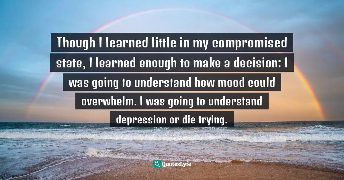 Though I learned little in my compromised state, I learned enough to make a decision: I was going to understand how mood could overwhelm. I was going to understand depression or die trying.