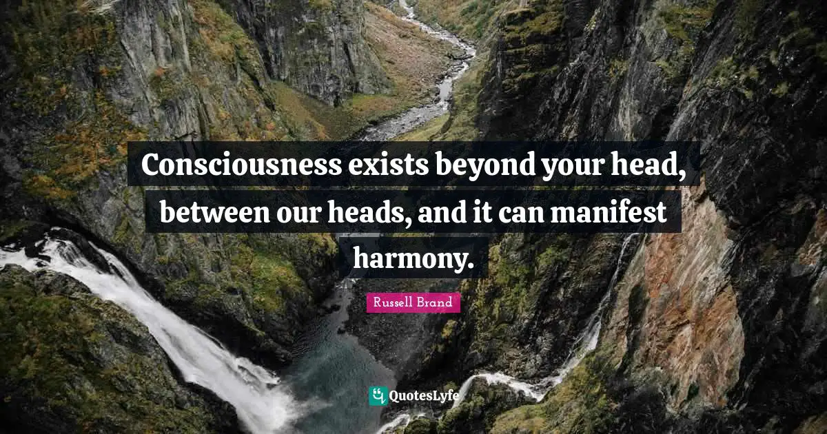 Consciousness exists beyond your head, between our heads, and it can manifest harmony.