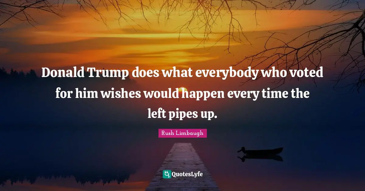 Donald Trump does what everybody who voted for him wishes would happen every time the left pipes up.