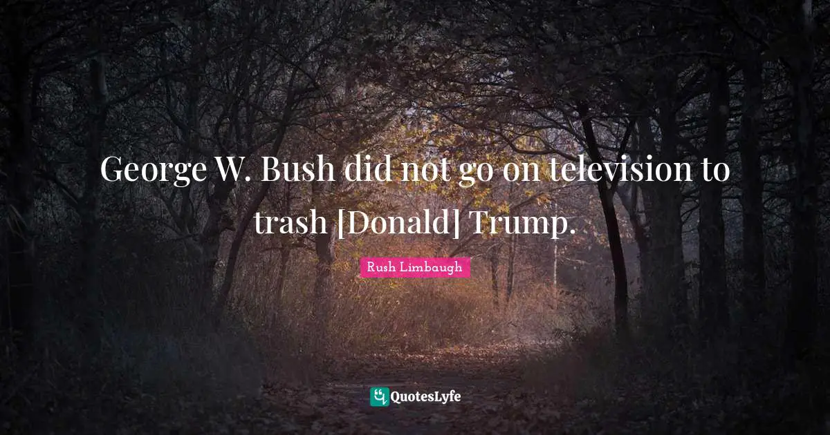 George W. Bush did not go on television to trash [Donald] Trump.