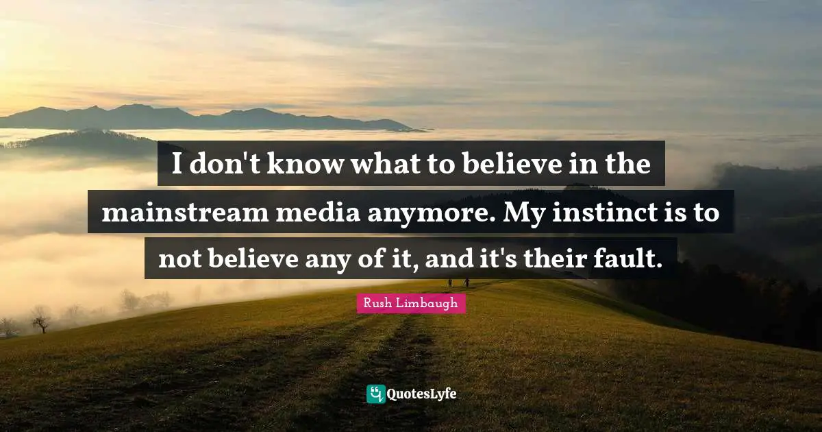 I don't know what to believe in the mainstream media anymore. My instinct is to not believe any of it, and it's their fault.