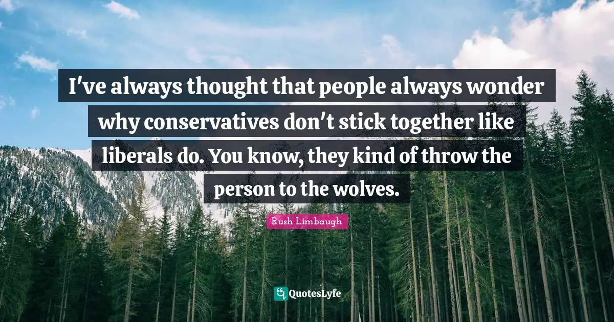 I've always thought that people always wonder why conservatives don't stick together like liberals do. You know, they kind of throw the person to the wolves.