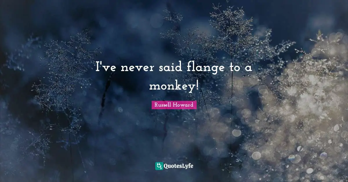 I've never said flange to a monkey!