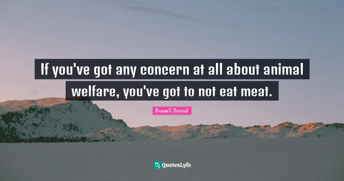 If you've got any concern at all about animal welfare, you've got to not eat meat.