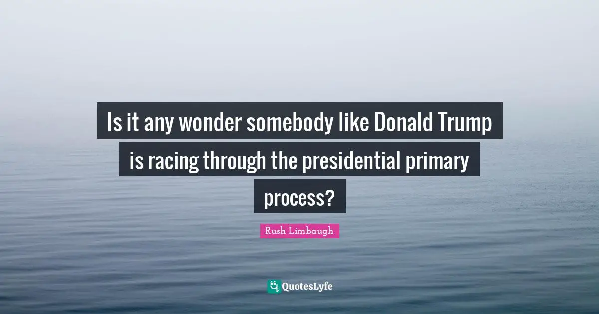Is it any wonder somebody like Donald Trump is racing through the presidential primary process?