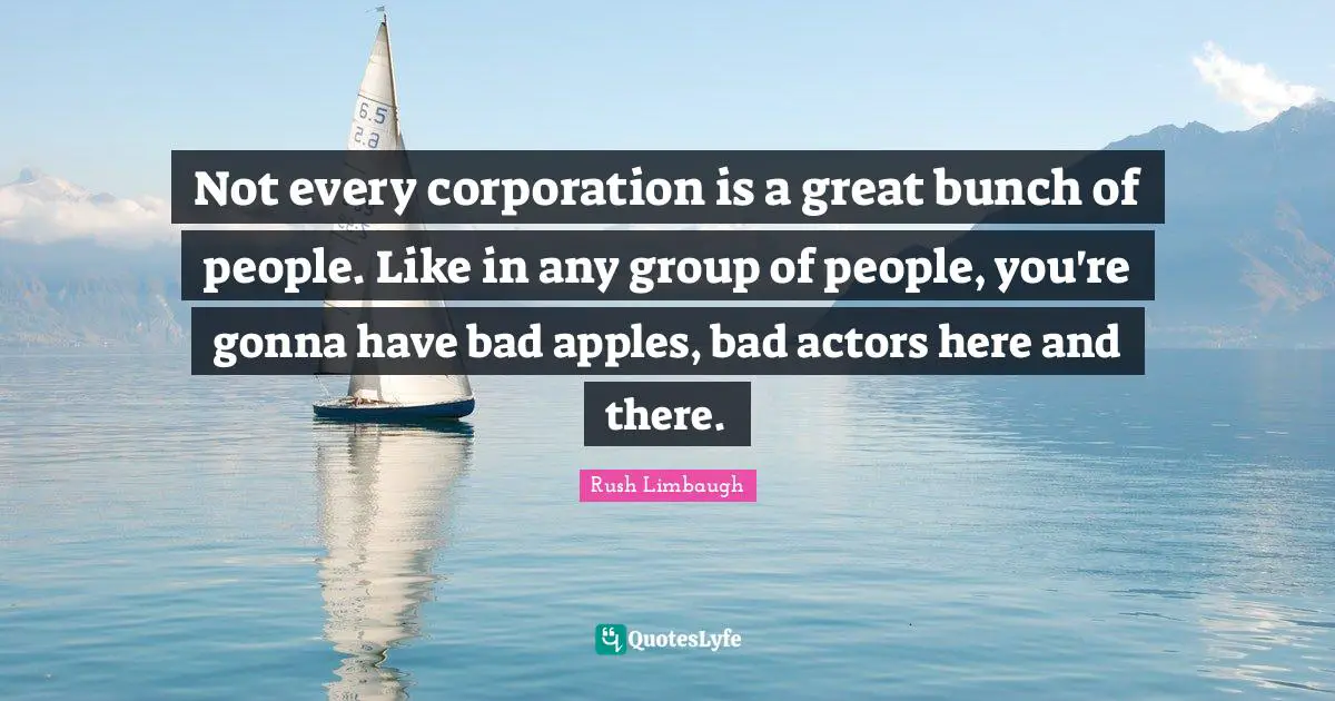 Not every corporation is a great bunch of people. Like in any group of people, you're gonna have bad apples, bad actors here and there.