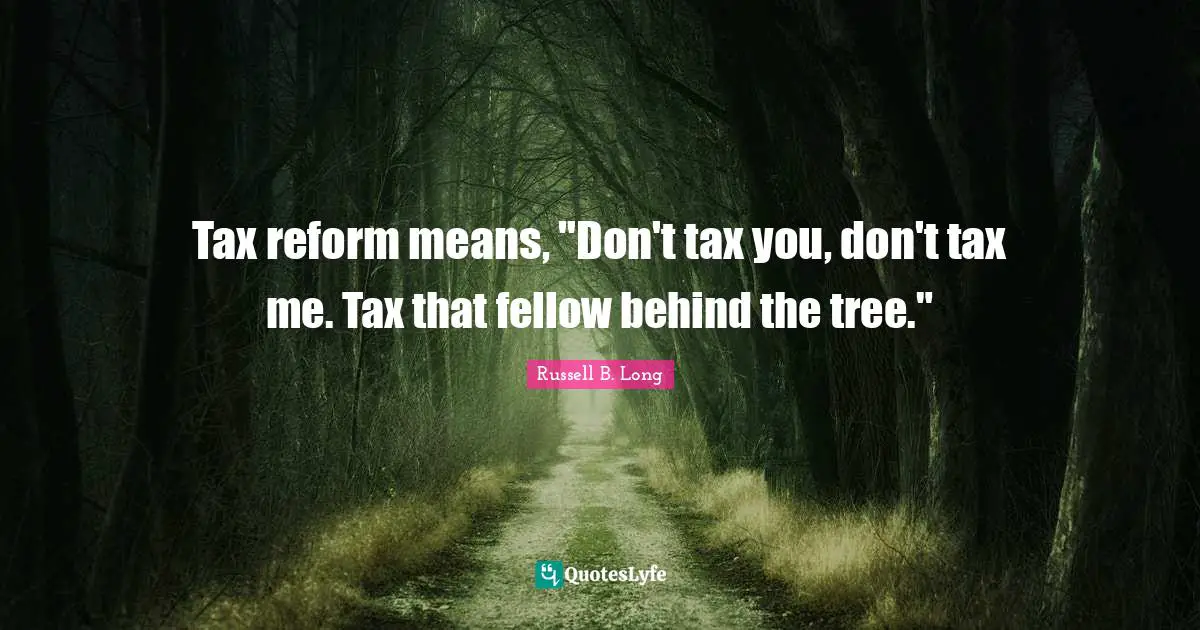 Tax reform means, "Don't tax you, don't tax me. Tax that fellow behind the tree."
