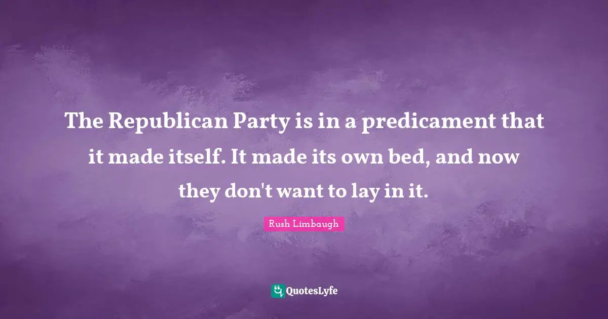 The Republican Party is in a predicament that it made itself. It made its own bed, and now they don't want to lay in it.