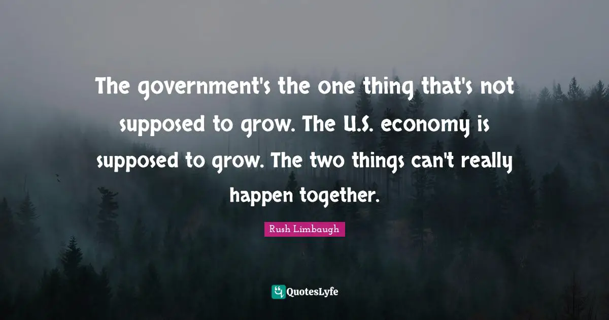 The government's the one thing that's not supposed to grow. The U.S. economy is supposed to grow. The two things can't really happen together.