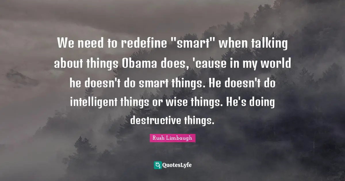 We need to redefine "smart" when talking about things Obama does, 'cause in my world he doesn't do smart things. He doesn't do intelligent things or wise things. He's doing destructive things.