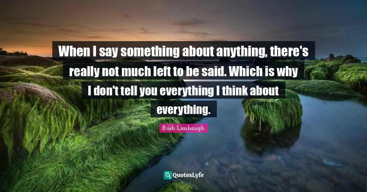When I say something about anything, there's really not much left to be said. Which is why I don't tell you everything I think about everything.