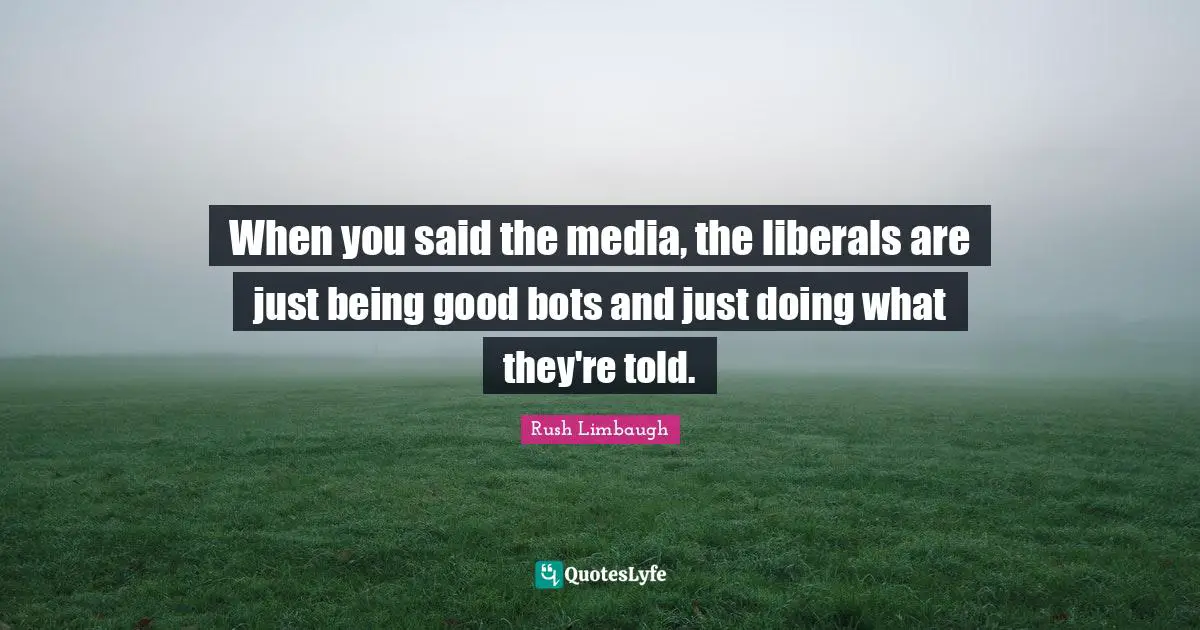 When you said the media, the liberals are just being good bots and just doing what they're told.