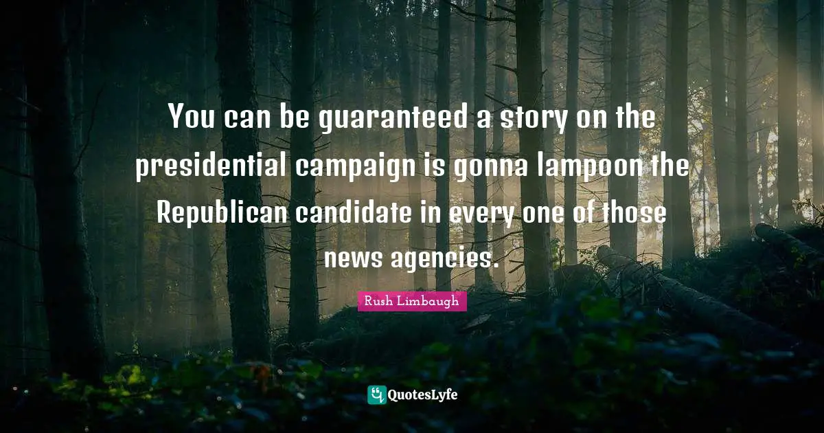You can be guaranteed a story on the presidential campaign is gonna lampoon the Republican candidate in every one of those news agencies.