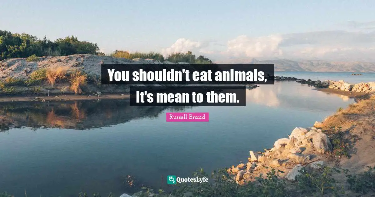 You shouldn't eat animals, it's mean to them.
