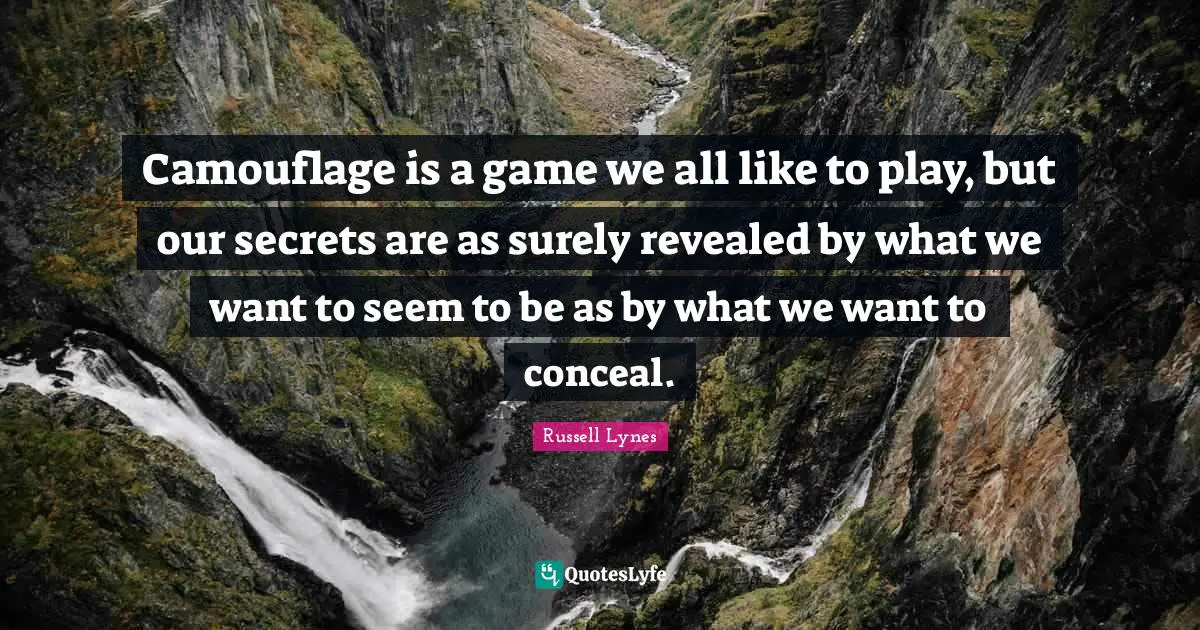 Camouflage is a game we all like to play, but our secrets are as surely revealed by what we want to seem to be as by what we want to conceal.