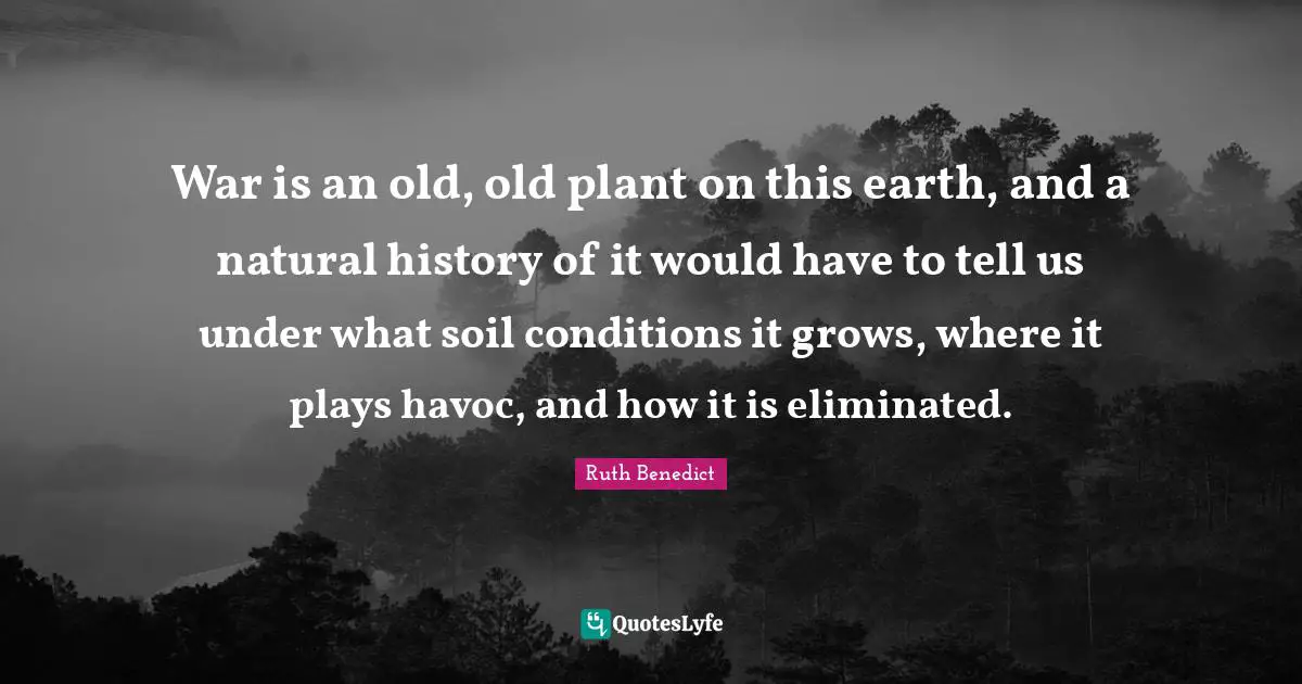 War is an old, old plant on this earth, and a natural history of it would have to tell us under what soil conditions it grows, where it plays havoc, and how it is eliminated.