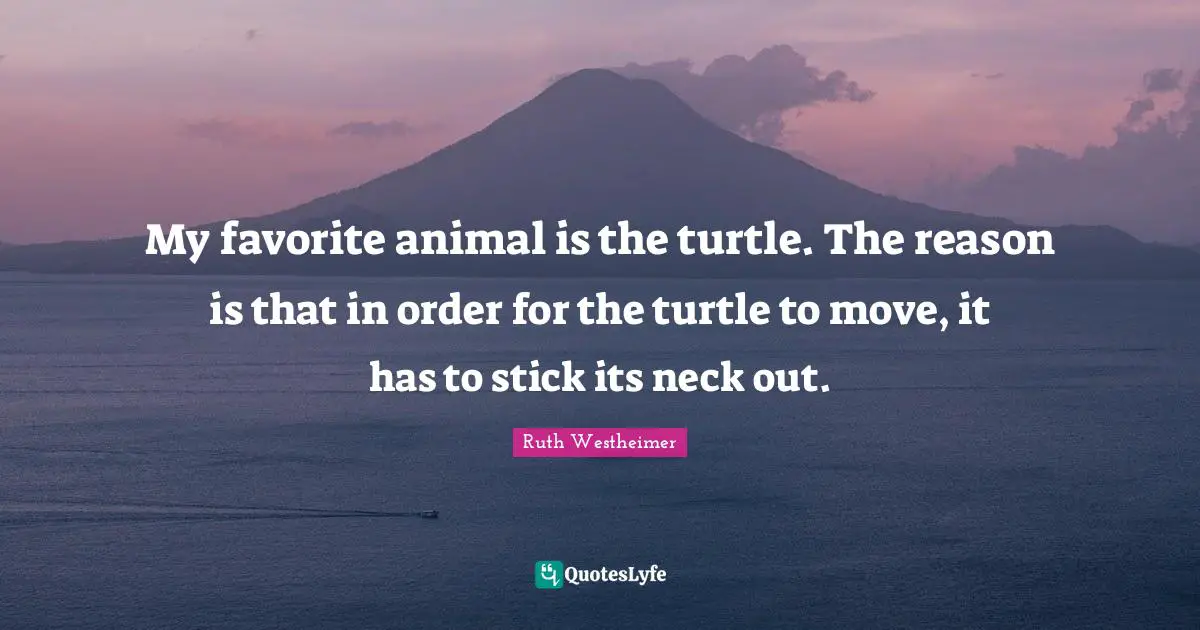 My favorite animal is the turtle. The reason is that in order for the turtle to move, it has to stick its neck out.