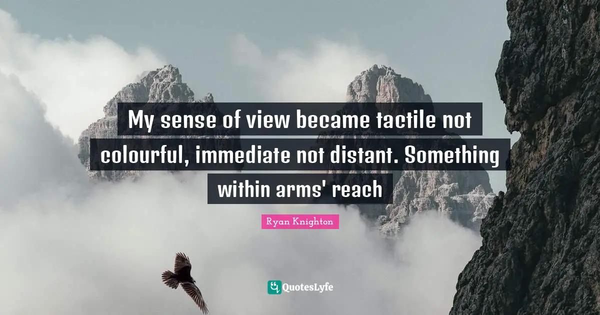 My sense of view became tactile not colourful, immediate not distant. Something within arms' reach