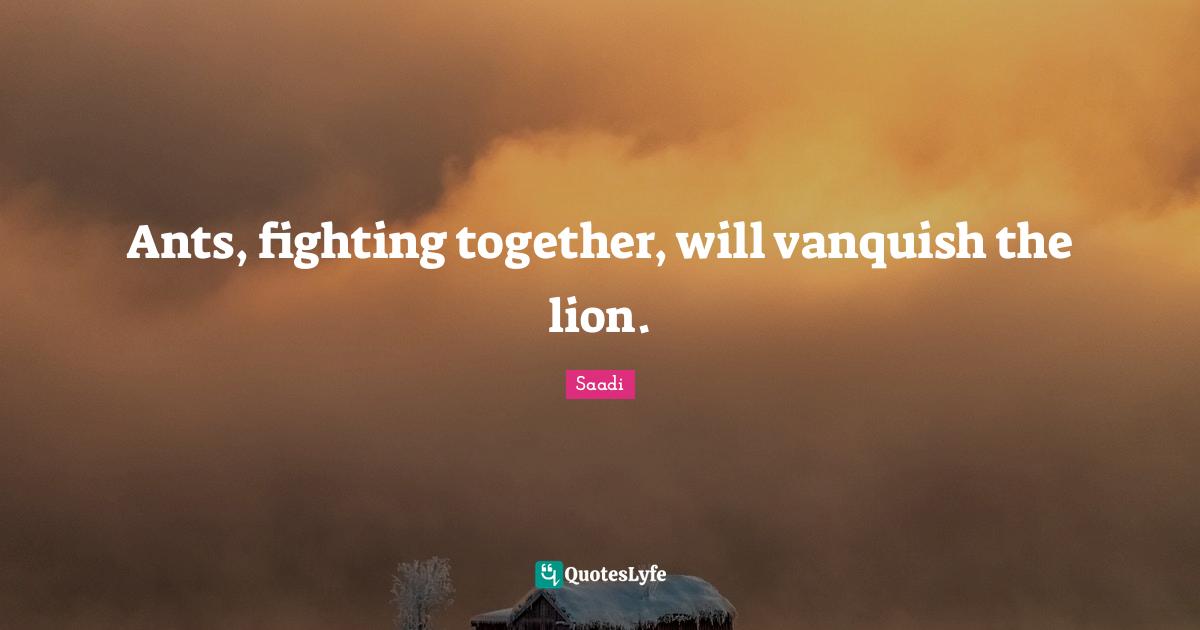 Saadi Quotes: "Ants, fighting together, will vanquish the lion."
