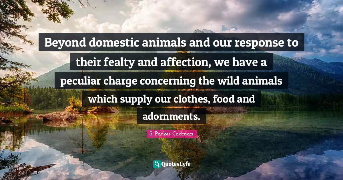 Beyond domestic animals and our response to their fealty and affection, we have a peculiar charge concerning the wild animals which supply our clothes, food and adornments.