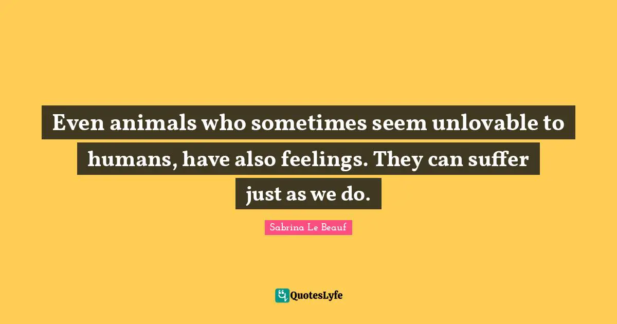 Even animals who sometimes seem unlovable to humans, have also feelings. They can suffer just as we do.