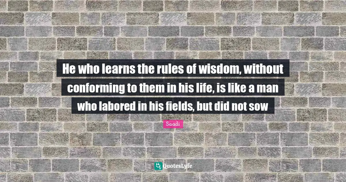 He who learns the rules of wisdom, without conforming to them in his life, is like a man who labored in his fields, but did not sow