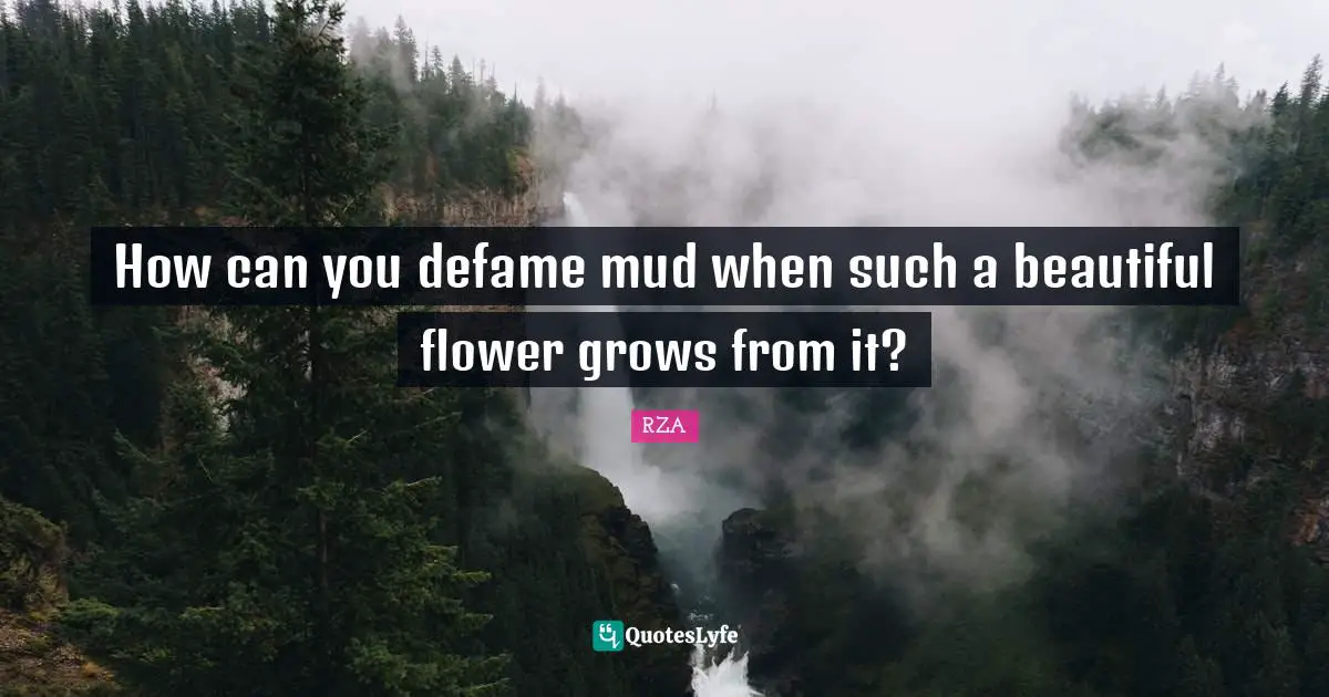 How can you defame mud when such a beautiful flower grows from it?